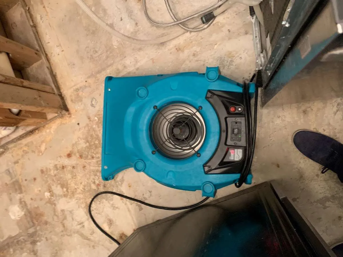 Air mover drying equipment for Mold Remediation & Removal in Fairview Heights